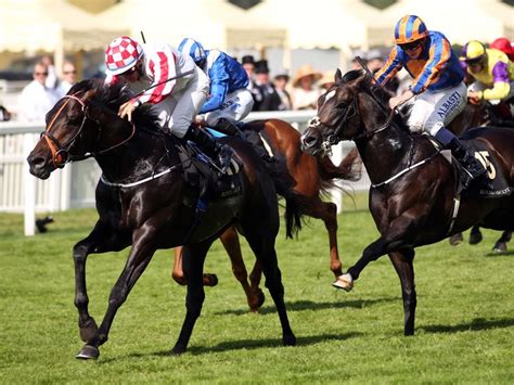 newmarket results yesterday|yesterday's racing results sporting life.